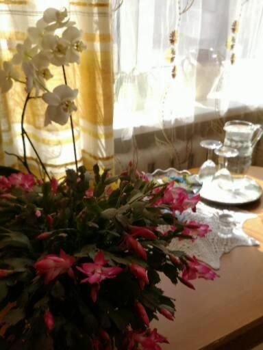 Dvinumajas Vintage Apartment *