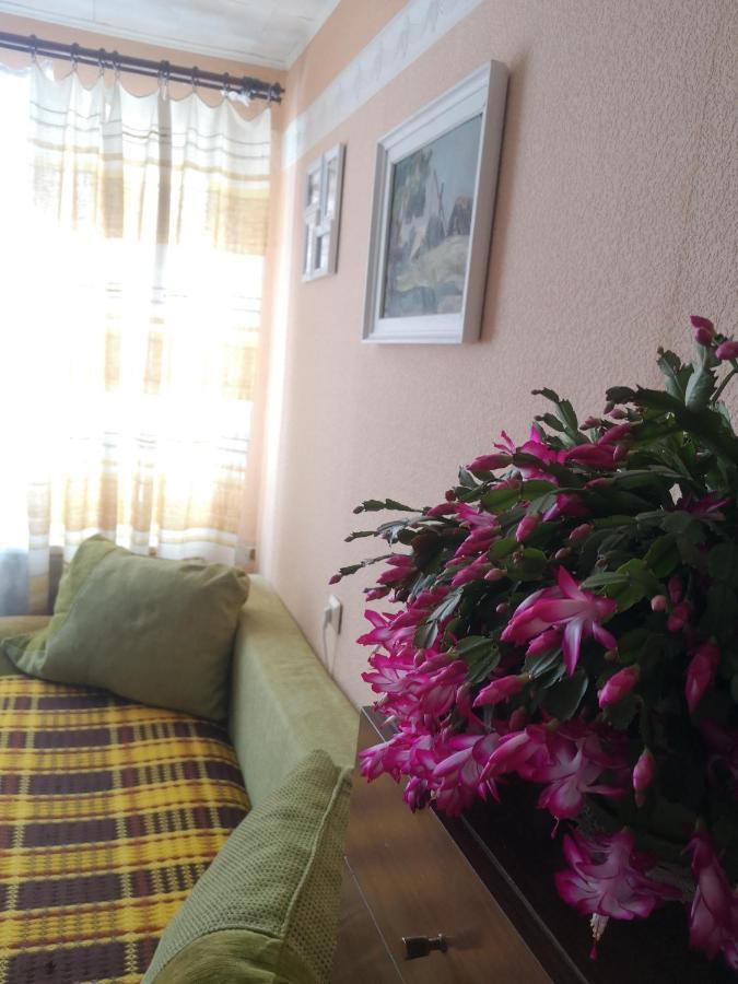 Apartment Dvinumajas Vintage *