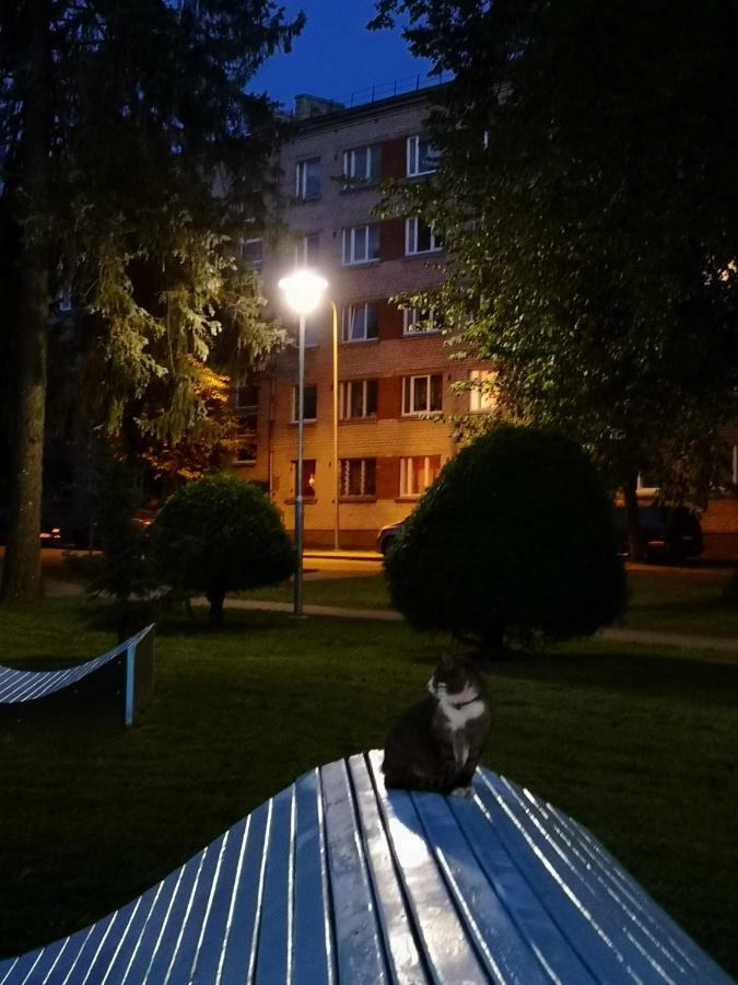 Dvinumajas Vintage Apartment